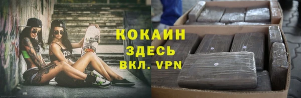 спиды Белокуриха