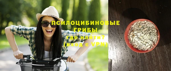 спиды Белокуриха