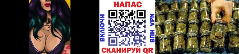 Купить закладки Мончегорск Конопля сатива